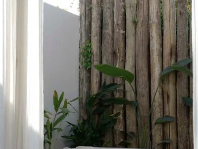 casa oasis 01
